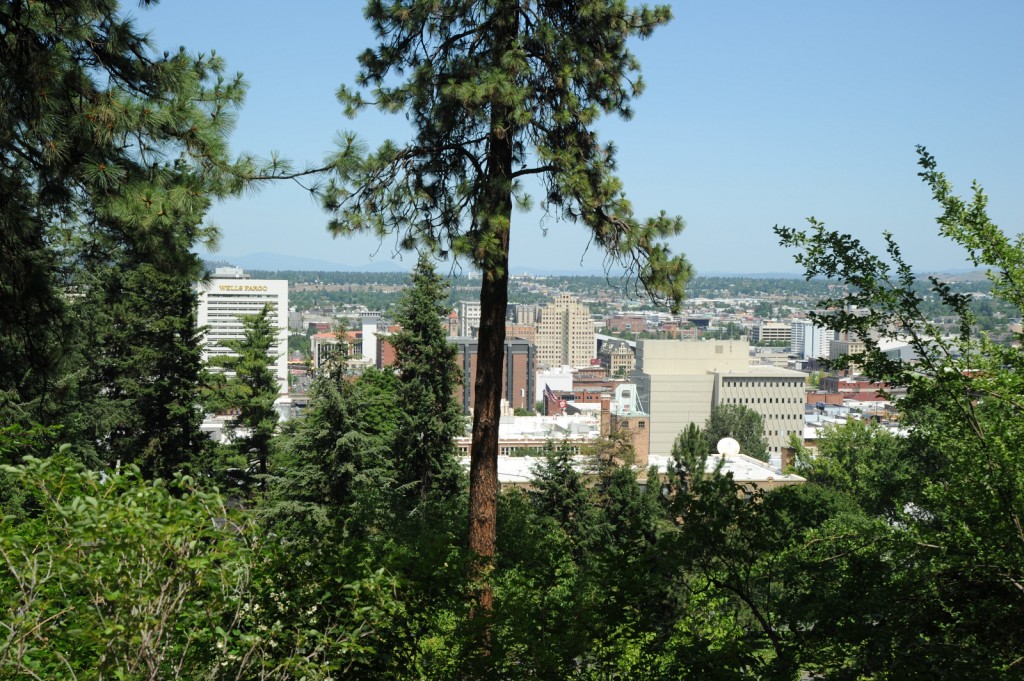 Downtown from Moore-Turner Gardens