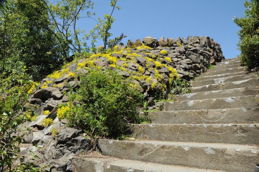 Stairs to Pioneer Park Summit