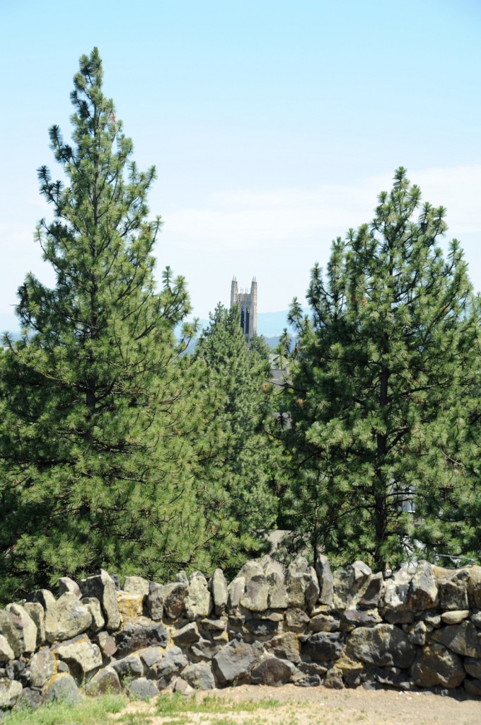 St John's Cathedral from Pioneer Park