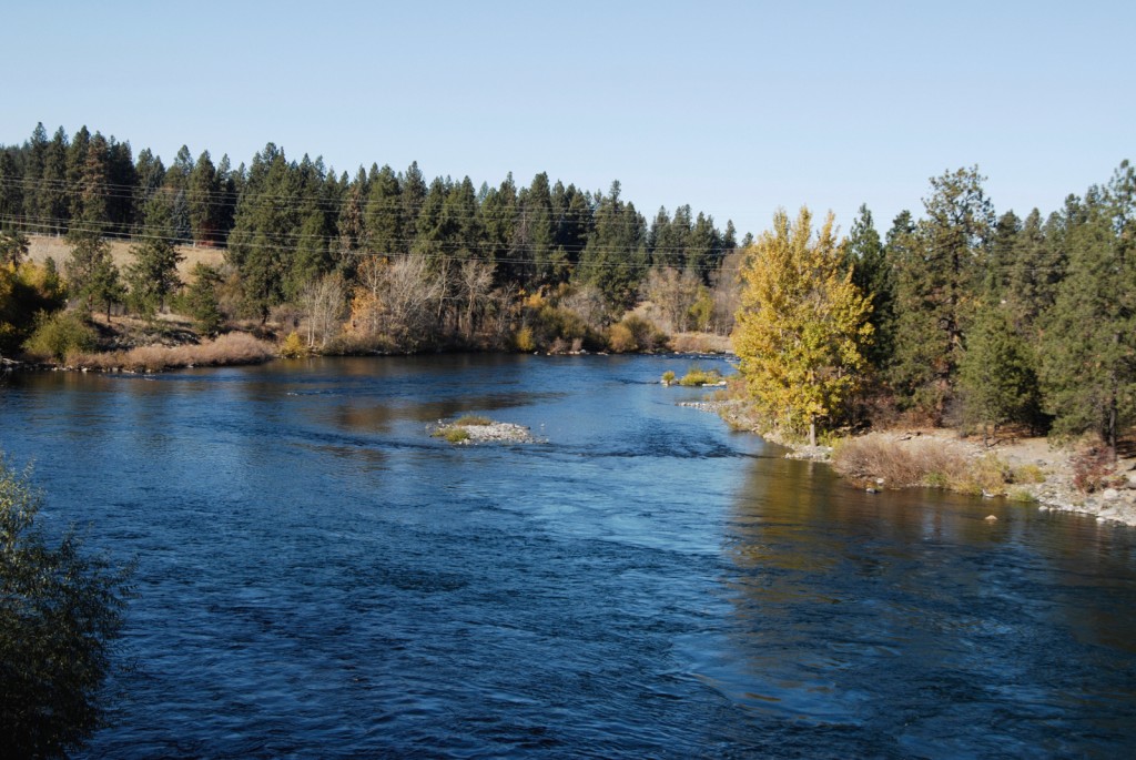 River at Highbridge Park